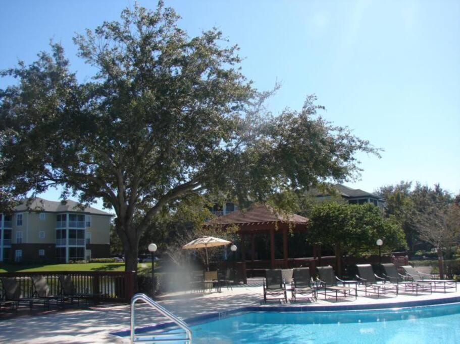Lakeview Condo In Gated Community Τάμπα Εξωτερικό φωτογραφία
